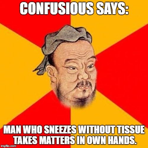 Confusious says ... | CONFUSIOUS SAYS:; MAN WHO SNEEZES WITHOUT TISSUE TAKES MATTERS IN OWN HANDS. | image tagged in confucius says,memes | made w/ Imgflip meme maker