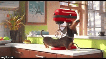 So Good & Automatic | image tagged in gifs,funny,dog | made w/ Imgflip video-to-gif maker