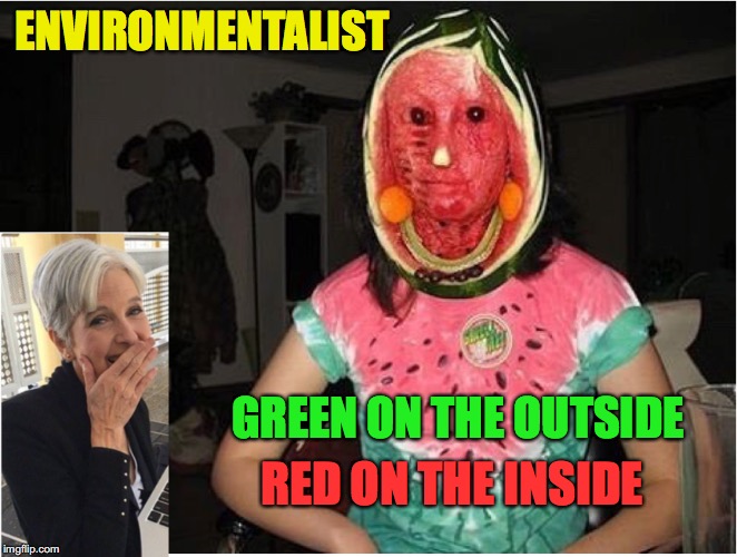 Fooled Ya | ENVIRONMENTALIST; GREEN ON THE OUTSIDE; RED ON THE INSIDE | image tagged in jill stein,presidential election,fraud | made w/ Imgflip meme maker