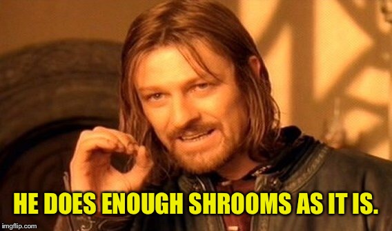 One Does Not Simply Meme | HE DOES ENOUGH SHROOMS AS IT IS. | image tagged in memes,one does not simply | made w/ Imgflip meme maker