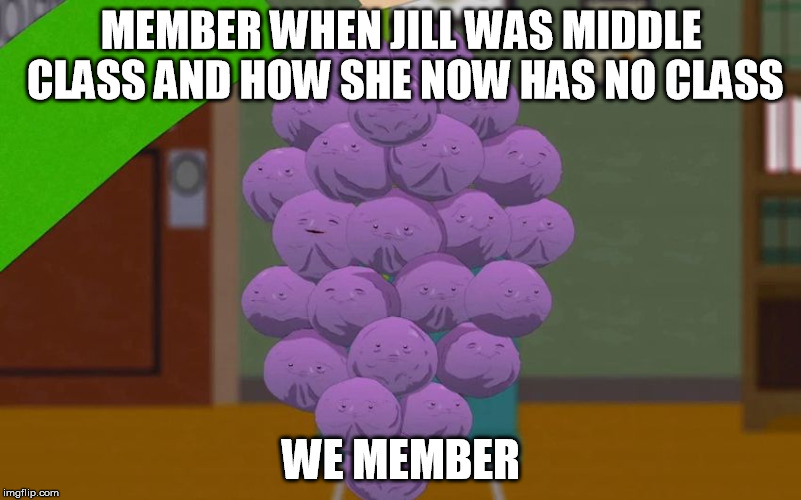 MEMBER WHEN JILL WAS MIDDLE CLASS AND HOW SHE NOW HAS NO CLASS; WE MEMBER | image tagged in jillrecount | made w/ Imgflip meme maker