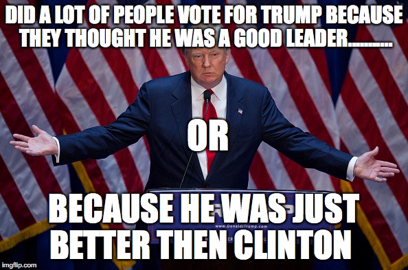 Donald Trump | DID A LOT OF PEOPLE VOTE FOR TRUMP BECAUSE THEY THOUGHT HE WAS A GOOD LEADER........... OR; BECAUSE HE WAS JUST BETTER THEN CLINTON | image tagged in donald trump | made w/ Imgflip meme maker