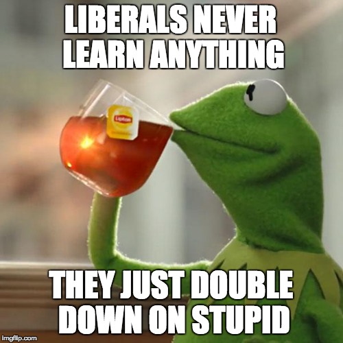 But That's None Of My Business Meme | LIBERALS NEVER LEARN ANYTHING THEY JUST DOUBLE DOWN ON STUPID | image tagged in memes,but thats none of my business,kermit the frog | made w/ Imgflip meme maker