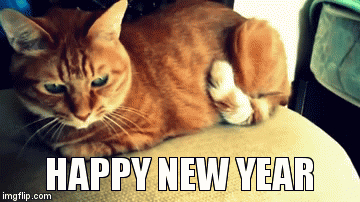 HAPPY NEW YEAR | image tagged in gifs | made w/ Imgflip video-to-gif maker