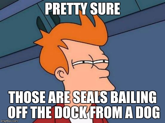 Futurama Fry Meme | PRETTY SURE THOSE ARE SEALS BAILING OFF THE DOCK FROM A DOG | image tagged in memes,futurama fry | made w/ Imgflip meme maker