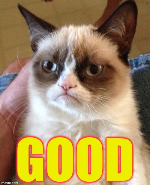 Grumpy Cat Meme | GOOD | image tagged in memes,grumpy cat | made w/ Imgflip meme maker