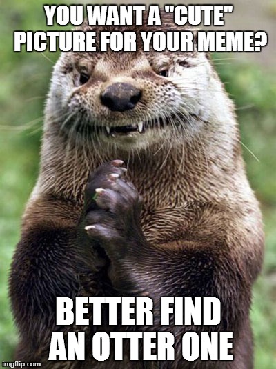 Evil Otter | YOU WANT A "CUTE" PICTURE FOR YOUR MEME? BETTER FIND AN OTTER ONE | image tagged in memes,evil otter | made w/ Imgflip meme maker