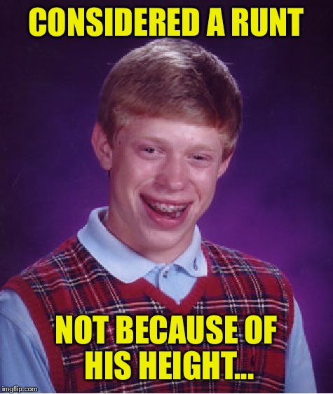 Bad Luck Brian Meme | CONSIDERED A RUNT NOT BECAUSE OF HIS HEIGHT... | image tagged in memes,bad luck brian | made w/ Imgflip meme maker