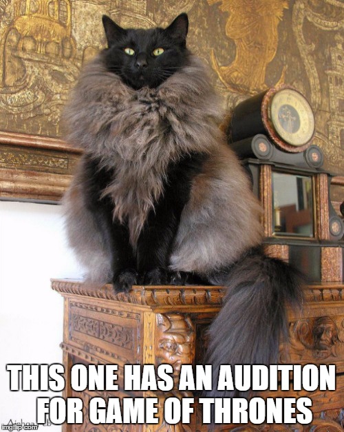 THIS ONE HAS AN AUDITION FOR GAME OF THRONES | made w/ Imgflip meme maker