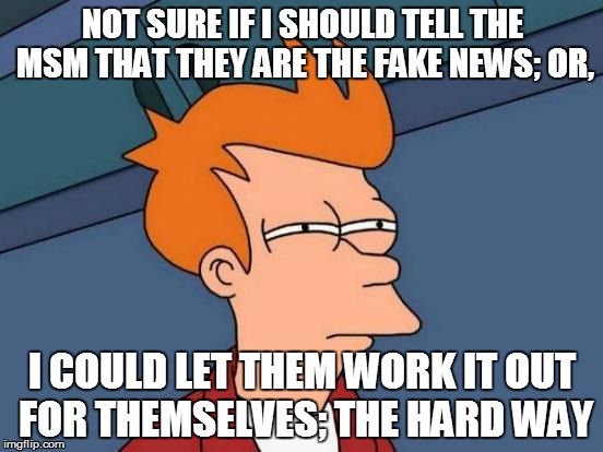 Futurama Fry | NOT SURE IF I SHOULD TELL THE MSM THAT THEY ARE THE FAKE NEWS; OR, I COULD LET THEM WORK IT OUT FOR THEMSELVES; THE HARD WAY | image tagged in memes,futurama fry | made w/ Imgflip meme maker