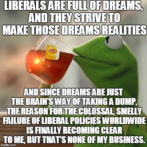 Dream A Little Dream | LIBERALS ARE FULL OF DREAMS, AND THEY STRIVE TO MAKE THOSE DREAMS REALITIES; AND SINCE DREAMS ARE JUST THE BRAIN'S WAY OF TAKING A DUMP, THE REASON FOR THE COLOSSAL, SMELLY FAILURE OF LIBERAL POLICIES WORLDWIDE IS FINALLY BECOMING CLEAR TO ME, BUT THAT'S NONE OF MY BUSINESS. | image tagged in memes,but thats none of my business,kermit the frog | made w/ Imgflip meme maker