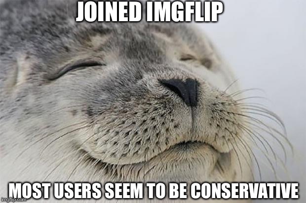 I Joined Right After The Election :-) | JOINED IMGFLIP; MOST USERS SEEM TO BE CONSERVATIVE | image tagged in memes,satisfied seal | made w/ Imgflip meme maker