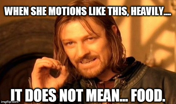 One Does Not Simply | WHEN SHE MOTIONS LIKE THIS, HEAVILY.... IT DOES NOT MEAN... FOOD. | image tagged in memes,one does not simply | made w/ Imgflip meme maker