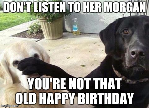 Dogs | DON'T LISTEN TO HER MORGAN; YOU'RE NOT THAT OLD
HAPPY BIRTHDAY | image tagged in dogs | made w/ Imgflip meme maker