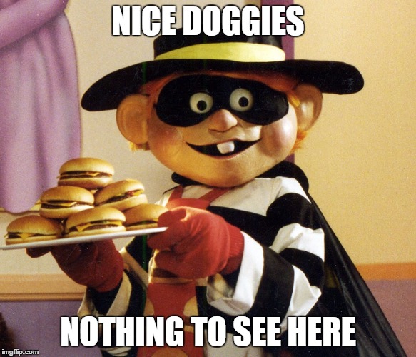 NICE DOGGIES NOTHING TO SEE HERE | made w/ Imgflip meme maker