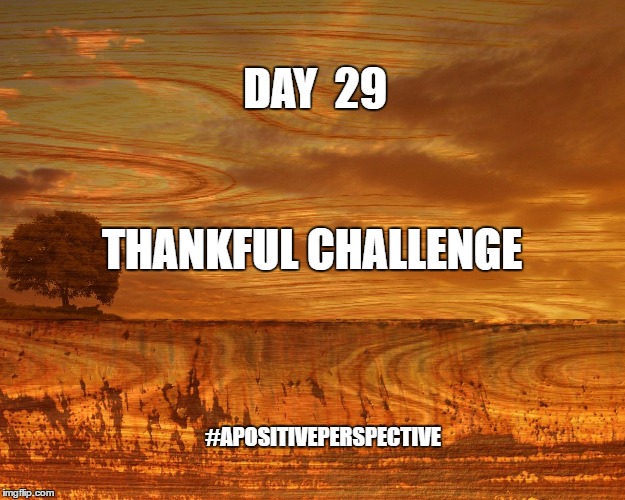 meme brown landscape muted | DAY  29; THANKFUL CHALLENGE; #APOSITIVEPERSPECTIVE | image tagged in meme brown landscape muted | made w/ Imgflip meme maker