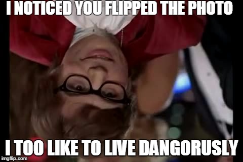 I Too Like To Live Dangerously Meme | I NOTICED YOU FLIPPED THE PHOTO; I TOO LIKE TO LIVE DANGORUSLY | image tagged in memes,i too like to live dangerously | made w/ Imgflip meme maker