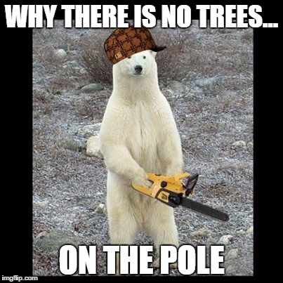 Chainsaw Bear | WHY THERE IS NO TREES... ON THE POLE | image tagged in memes,chainsaw bear,scumbag | made w/ Imgflip meme maker