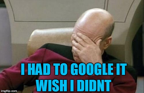 Captain Picard Facepalm Meme | WISH I DIDNT I HAD TO GOOGLE IT | image tagged in memes,captain picard facepalm | made w/ Imgflip meme maker