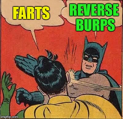 Batman Slapping Robin Meme | FARTS REVERSE BURPS | image tagged in memes,batman slapping robin | made w/ Imgflip meme maker