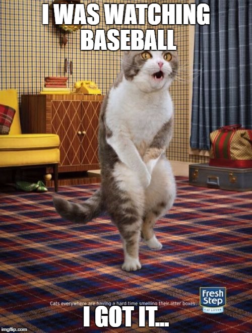 Gotta Go Cat | I WAS WATCHING BASEBALL; I GOT IT... | image tagged in memes,gotta go cat | made w/ Imgflip meme maker