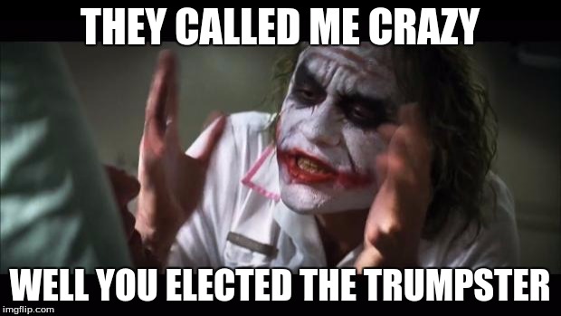 And everybody loses their minds | THEY CALLED ME CRAZY; WELL YOU ELECTED THE TRUMPSTER | image tagged in memes,and everybody loses their minds | made w/ Imgflip meme maker