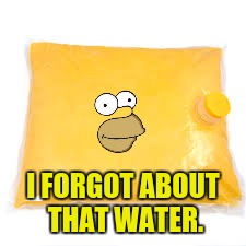 I FORGOT ABOUT THAT WATER. | made w/ Imgflip meme maker