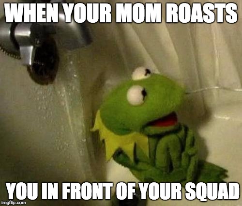 Kermit on Shower | WHEN YOUR MOM ROASTS; YOU IN FRONT OF YOUR SQUAD | image tagged in kermit on shower | made w/ Imgflip meme maker
