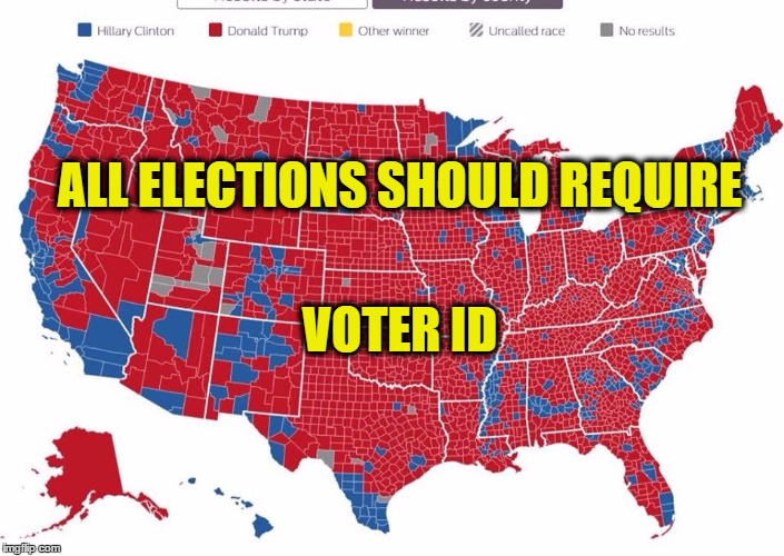 2016 election | ALL ELECTIONS SHOULD
REQUIRE; VOTER ID | image tagged in 2016 election | made w/ Imgflip meme maker