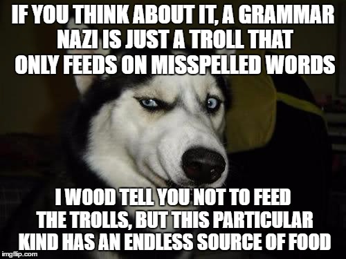 It's okay to feed them, you're words are their to pull they're hair out. | IF YOU THINK ABOUT IT, A GRAMMAR NAZI IS JUST A TROLL THAT ONLY FEEDS ON MISSPELLED WORDS; I WOOD TELL YOU NOT TO FEED THE TROLLS, BUT THIS PARTICULAR KIND HAS AN ENDLESS SOURCE OF FOOD | image tagged in funny dog | made w/ Imgflip meme maker