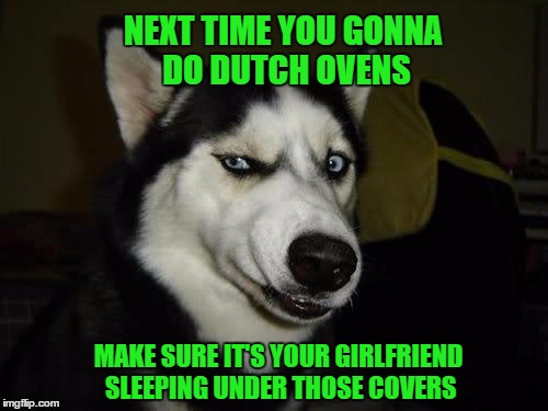 Mistakes happen | NEXT TIME YOU GONNA DO DUTCH OVENS; MAKE SURE IT'S YOUR GIRLFRIEND SLEEPING UNDER THOSE COVERS | image tagged in funny dog | made w/ Imgflip meme maker