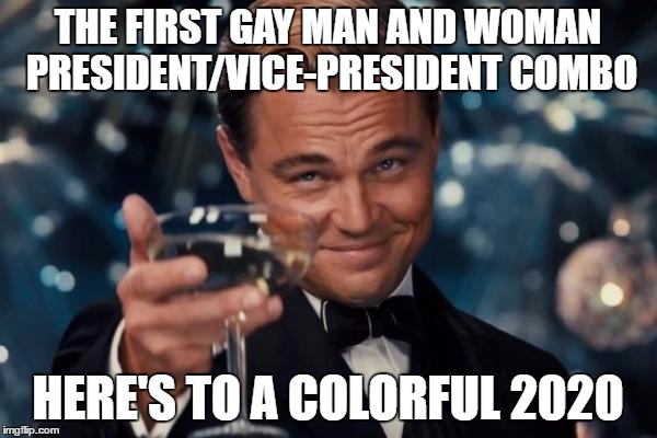 Leonardo Dicaprio Cheers Meme | THE FIRST GAY MAN AND WOMAN PRESIDENT/VICE-PRESIDENT COMBO HERE'S TO A COLORFUL 2020 | image tagged in memes,leonardo dicaprio cheers | made w/ Imgflip meme maker