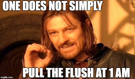 seriously, dont. | ONE DOES NOT SIMPLY; PULL THE FLUSH AT 1 AM | image tagged in memes,one does not simply | made w/ Imgflip meme maker