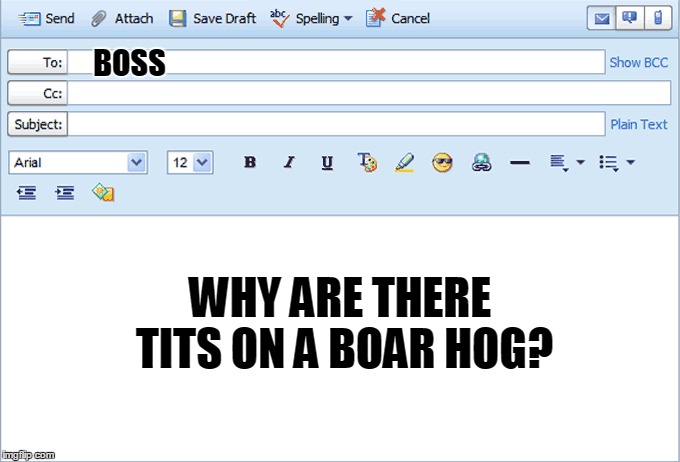 BOSS WHY ARE THERE TITS ON A BOAR HOG? | made w/ Imgflip meme maker