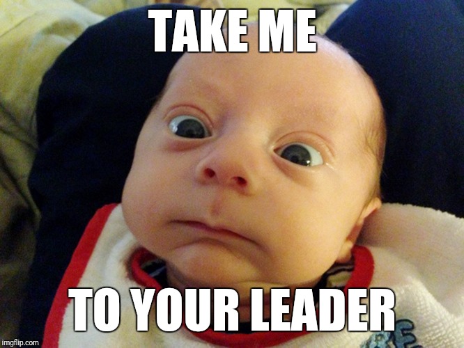 Dooo ittttt | TAKE ME; TO YOUR LEADER | image tagged in baby,aliens | made w/ Imgflip meme maker