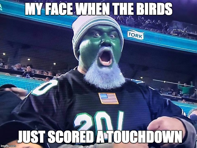MY FACE WHEN THE BIRDS; JUST SCORED A TOUCHDOWN | image tagged in eagles fan | made w/ Imgflip meme maker