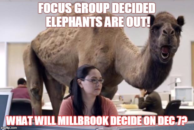 Camel | FOCUS GROUP DECIDED ELEPHANTS ARE OUT! WHAT WILL MILLBROOK DECIDE ON DEC 7? | image tagged in camel | made w/ Imgflip meme maker