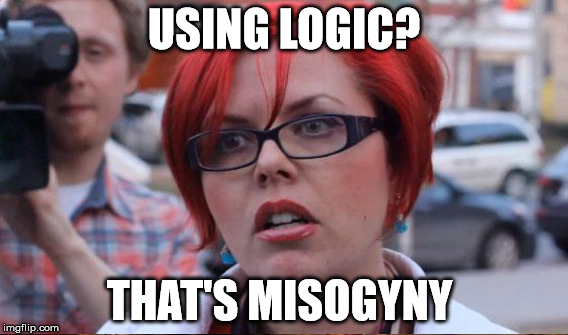 USING LOGIC? THAT'S MISOGYNY | made w/ Imgflip meme maker
