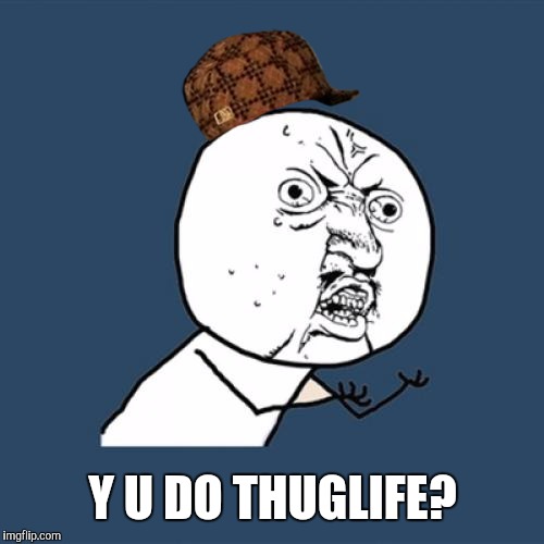 Y U No Meme | Y U DO THUGLIFE? | image tagged in memes,y u no,scumbag | made w/ Imgflip meme maker