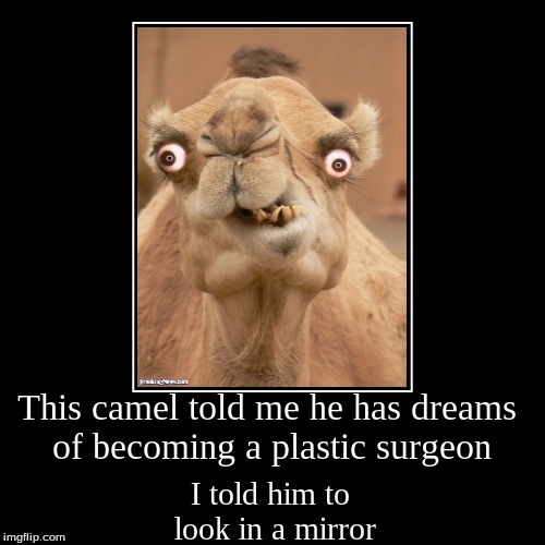 image tagged in funny,demotivationals,camel,doctor,me,mirror | made w/ Imgflip demotivational maker