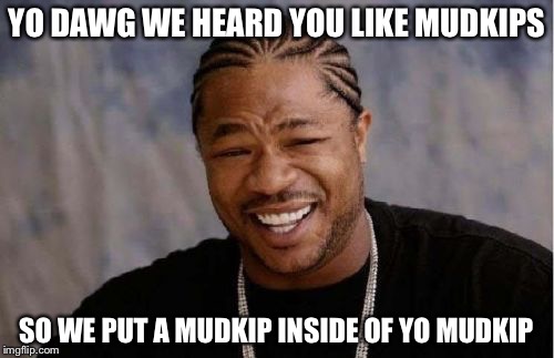 Yo Dawg Heard You | YO DAWG WE HEARD YOU LIKE MUDKIPS; SO WE PUT A MUDKIP INSIDE OF YO MUDKIP | image tagged in memes,yo dawg heard you | made w/ Imgflip meme maker