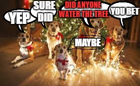 Christmas confessions | YOU BET; SURE DID; DID ANYONE WATER THE TREE; YEP; MAYBE | image tagged in dog christmas tree | made w/ Imgflip meme maker