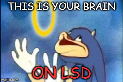 Dont do drugs kids | THIS IS YOUR BRAIN; ON LSD | image tagged in sonic derp | made w/ Imgflip meme maker