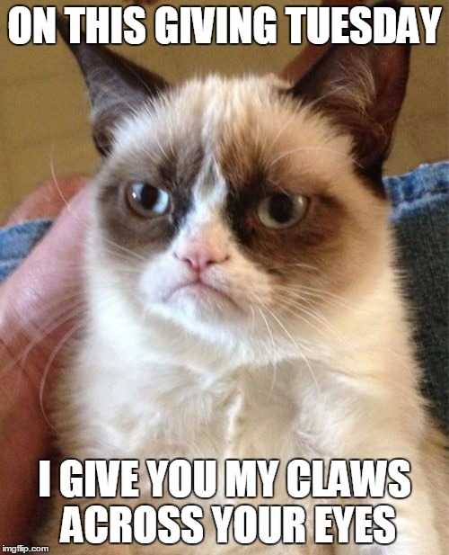 #GivingTuesday ? Come On Imaginary People! | ON THIS GIVING TUESDAY; I GIVE YOU MY CLAWS ACROSS YOUR EYES | image tagged in memes,grumpy cat | made w/ Imgflip meme maker