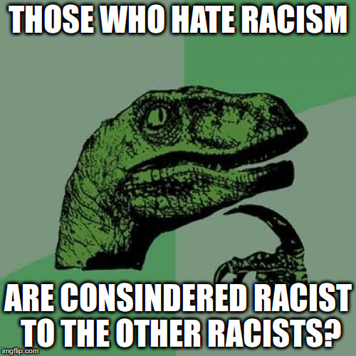 Philosoraptor | THOSE WHO HATE RACISM; ARE CONSINDERED RACIST TO THE OTHER RACISTS? | image tagged in memes,philosoraptor | made w/ Imgflip meme maker