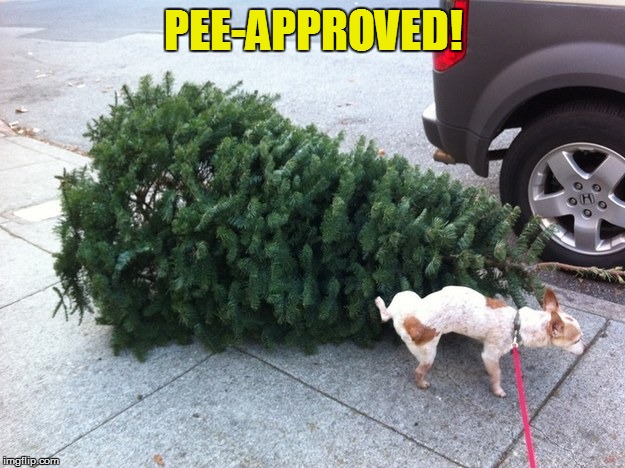 PEE-APPROVED! | made w/ Imgflip meme maker