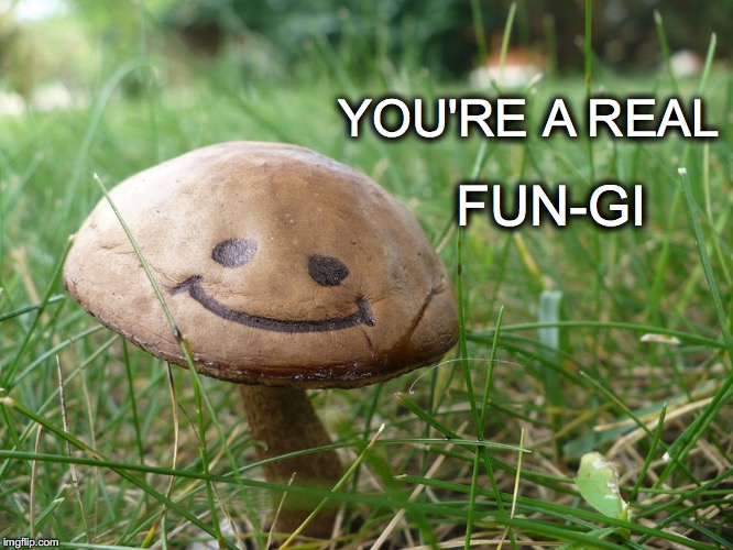 S'hroom enough for everyone | YOU'RE A REAL; FUN-GI | image tagged in janey mack meme,flirt,funny,you're a real fungi,sweet | made w/ Imgflip meme maker