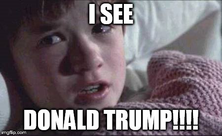 I See Dead People Meme | I SEE; DONALD TRUMP!!!! | image tagged in memes,i see dead people | made w/ Imgflip meme maker