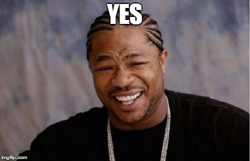 Yo Dawg Heard You Meme | YES | image tagged in memes,yo dawg heard you | made w/ Imgflip meme maker