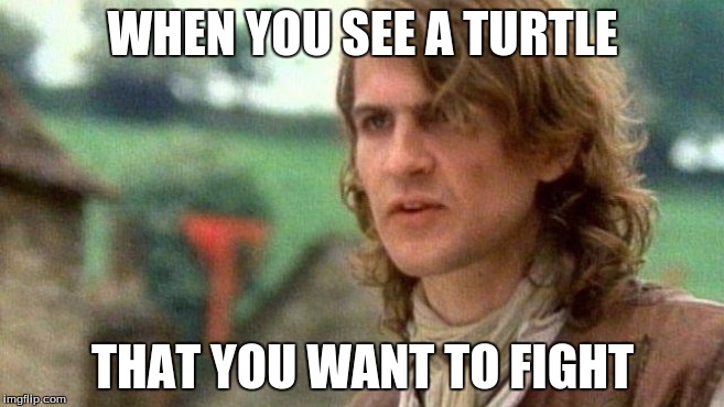 Deep intellectual scenarios part 2 | WHEN YOU SEE A TURTLE; THAT YOU WANT TO FIGHT | image tagged in ivan doroschuk,turtle,fight,battle,sex | made w/ Imgflip meme maker